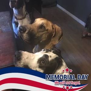 Meet your Posher, Julie